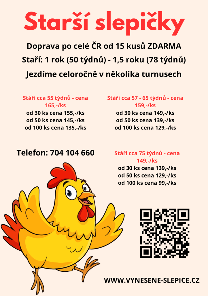 leták