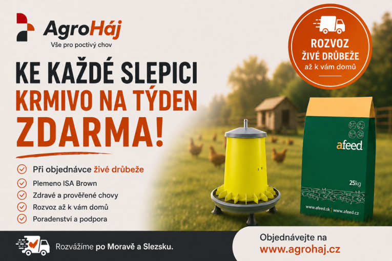 leták